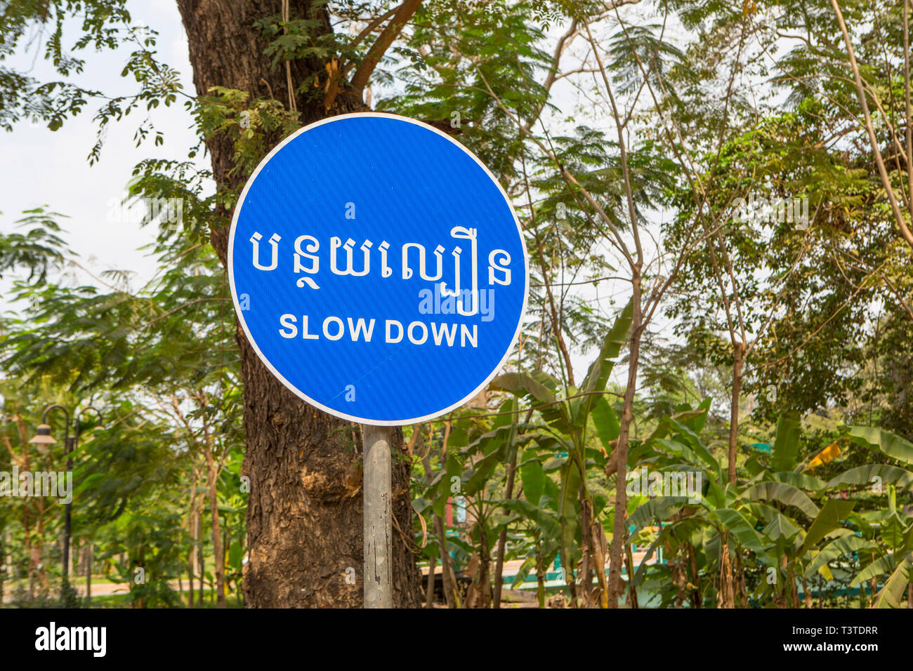 Un signe de ralentir à Siem Reap, Cambodge. Banque D'Images