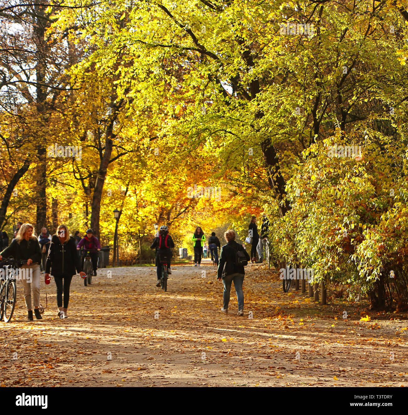 Les gens profiter d'une promenade à l'Englischer Garten à Munich en une belle journée d'automne plein de soleil Banque D'Images