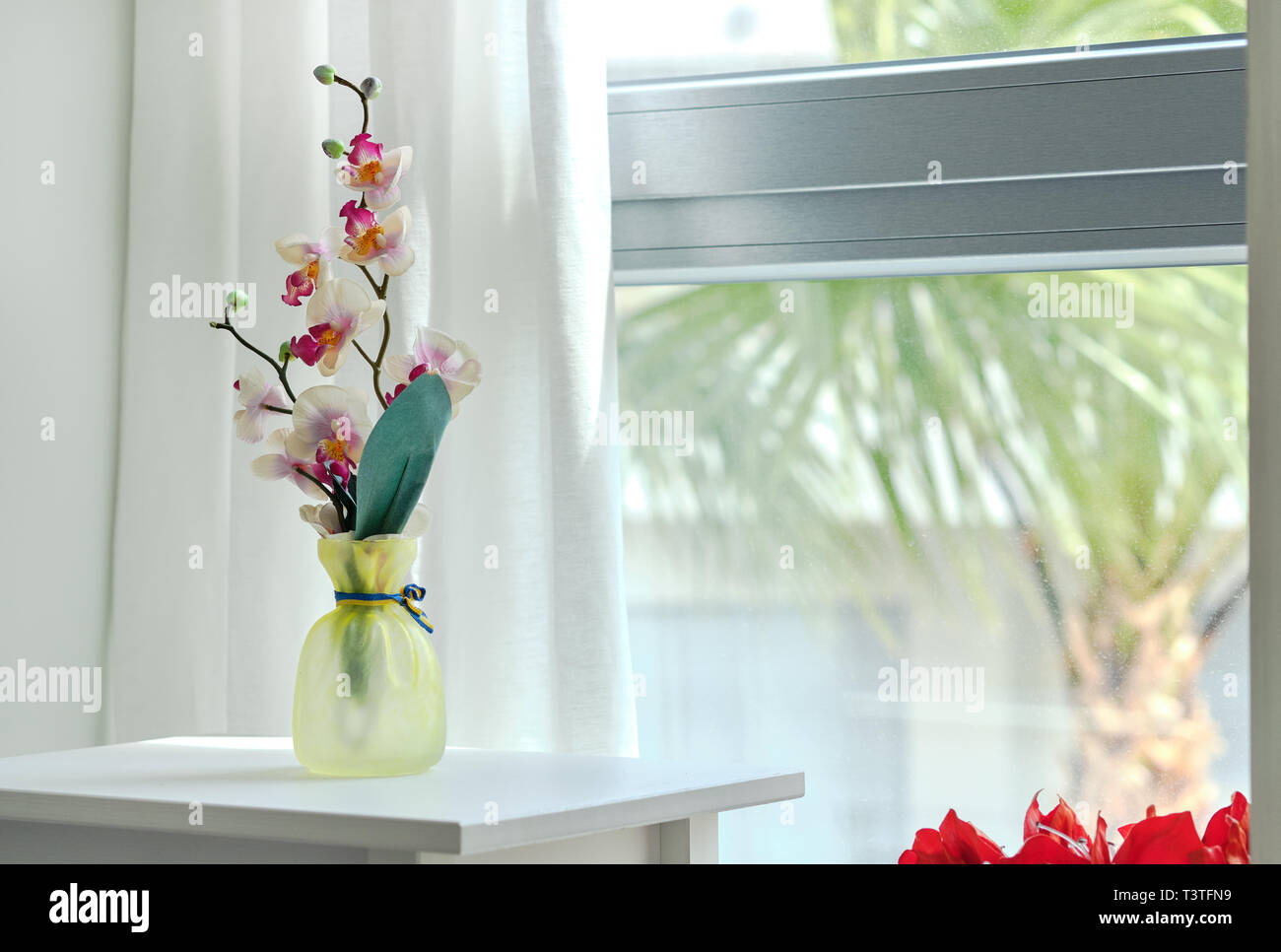 Jolie orchid vase en verre sur le tableau blanc palmier vue à travers la fenêtre de verre, salle de séjour ou chambre à coucher à la maison, concept d'appartement moderne Banque D'Images