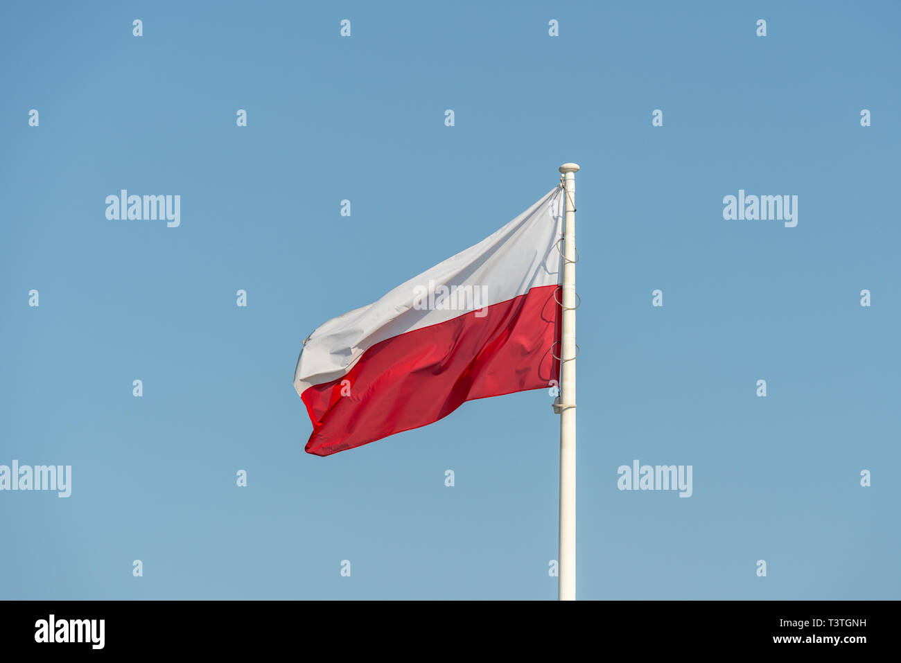 Varsovie, Pologne. Avril, 2019. Le drapeau polonais sur un ciel bleu Banque D'Images