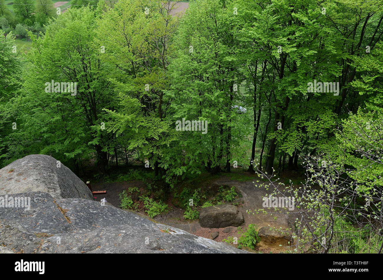 Des marches en pierre mènent à la vieille cave dans la montagne dans la forêt avec des arbres verts. Tourisme Banque D'Images