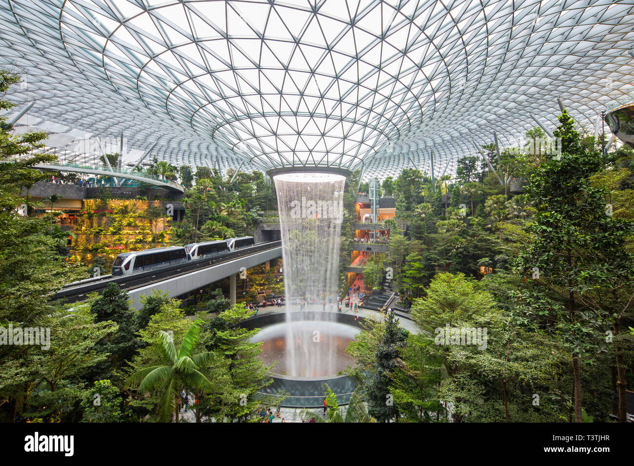 Vue de la forêt luxuriante vallée Shiseido et la pluie vortex au l'aéroport Changi de Singapour, Jewel Banque D'Images
