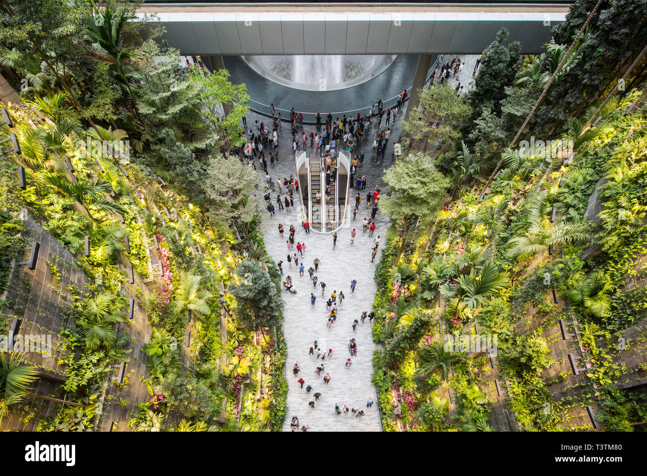 Vue aérienne de haut en bas de l'intérieur de Jewel vertical Greenery à l'aéroport de Changi, Singapour Banque D'Images