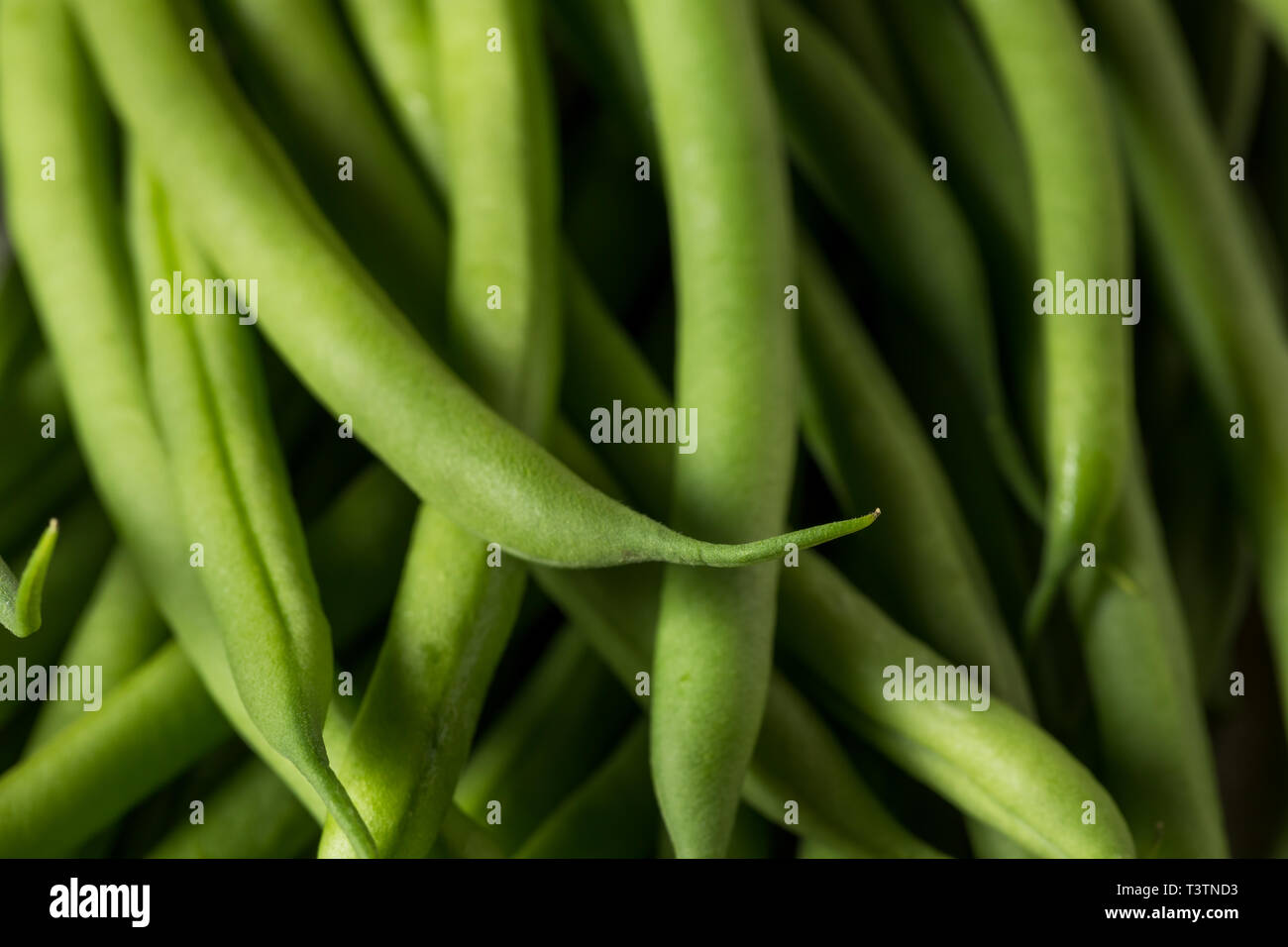 Matières organiques Haricots Verts français prêt à cuire Banque D'Images