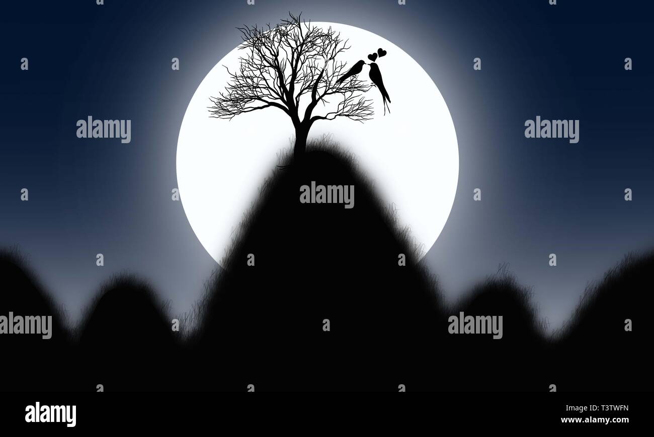 Silhouette d'oiseaux mignons dans l'amour chanter ensemble la nuit background. La Romance à fond de lune. Deux oiseaux formant une forme de coeur. Banque D'Images