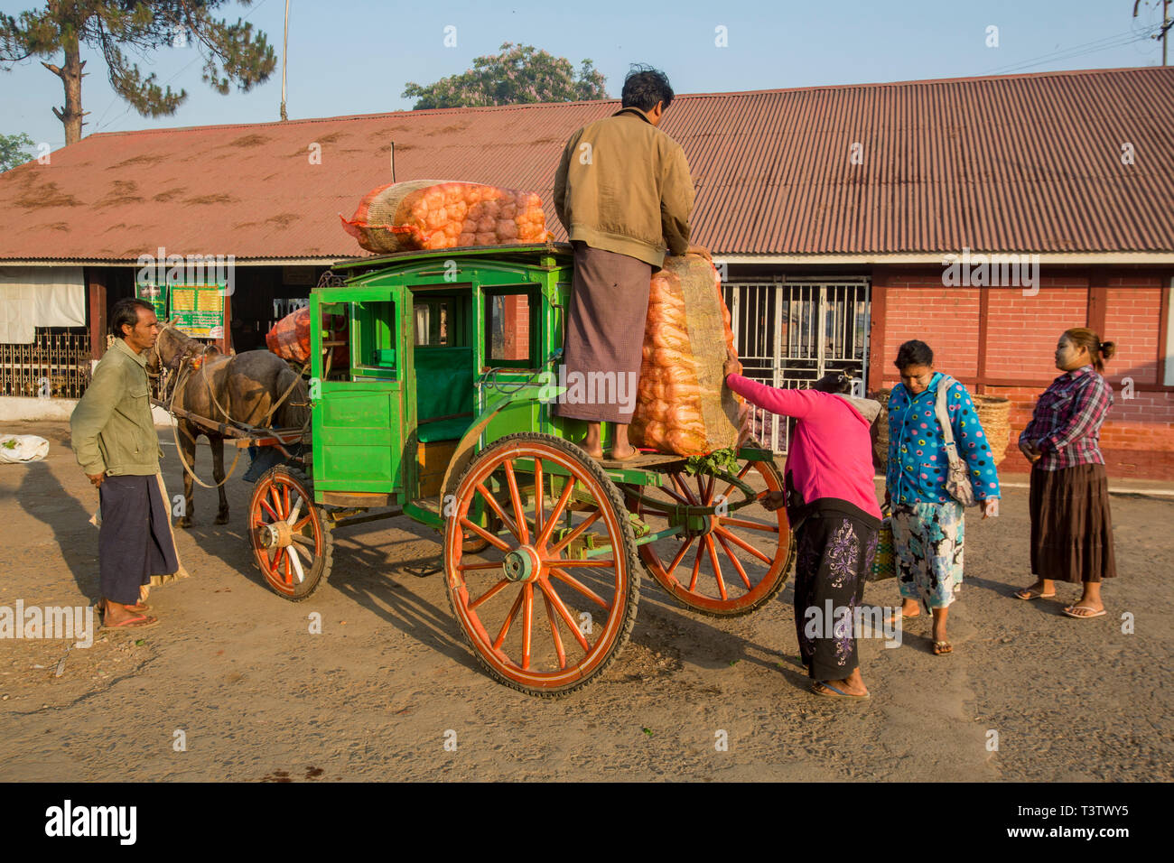 Le déchargement des produits de la ferme à partir d'un cheval et un chariot à l'extérieur de la gare à Pyin-U-Lwin, Myanmar. Banque D'Images