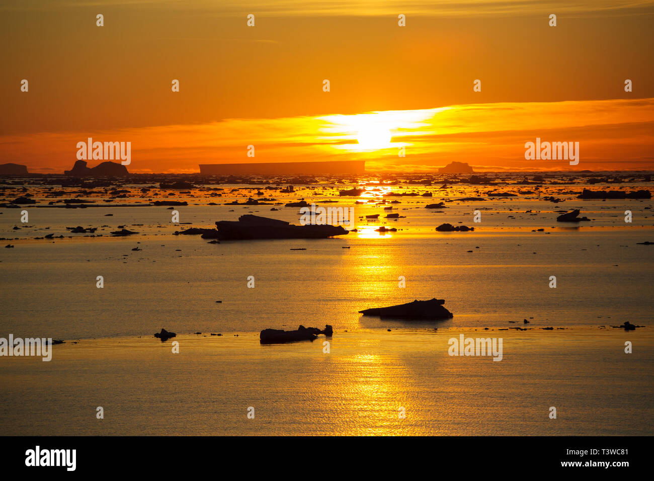 La glace de mer et des icebergs dans l'Antarctique Sound, mer de Weddell, l'Antarctique au crépuscule. Banque D'Images
