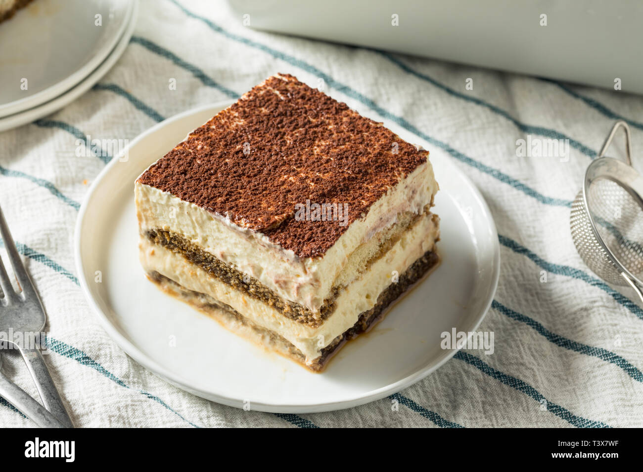 Sweet Dessert Tiramisu italien fait maison avec du cacao en poudre Photo  Stock - Alamy