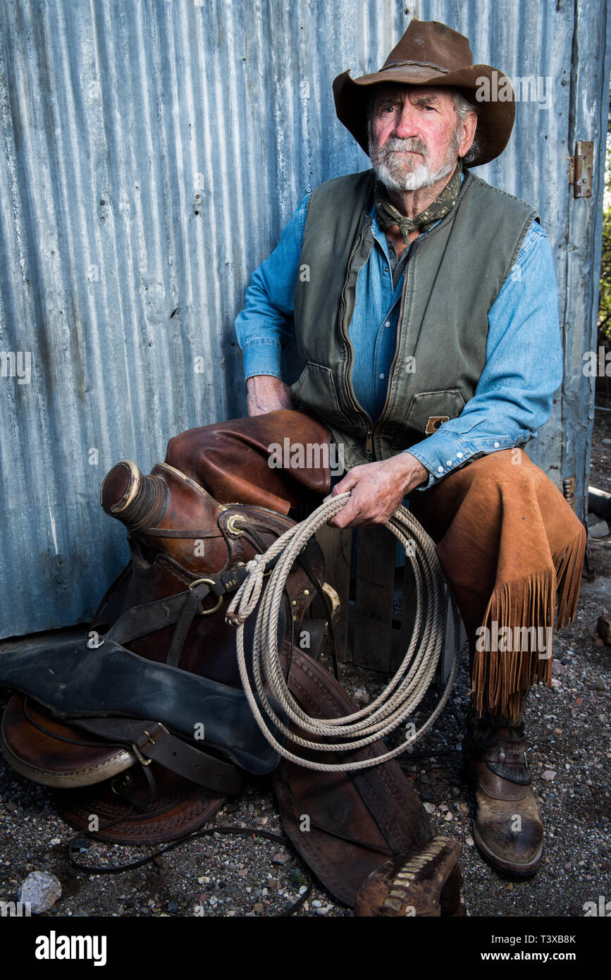 Old cowboy avec barbe grise porte chapeau de cuir, cuir, chaps et est  titulaire d'un lasso et est assis avec une selle en cuir Photo Stock - Alamy