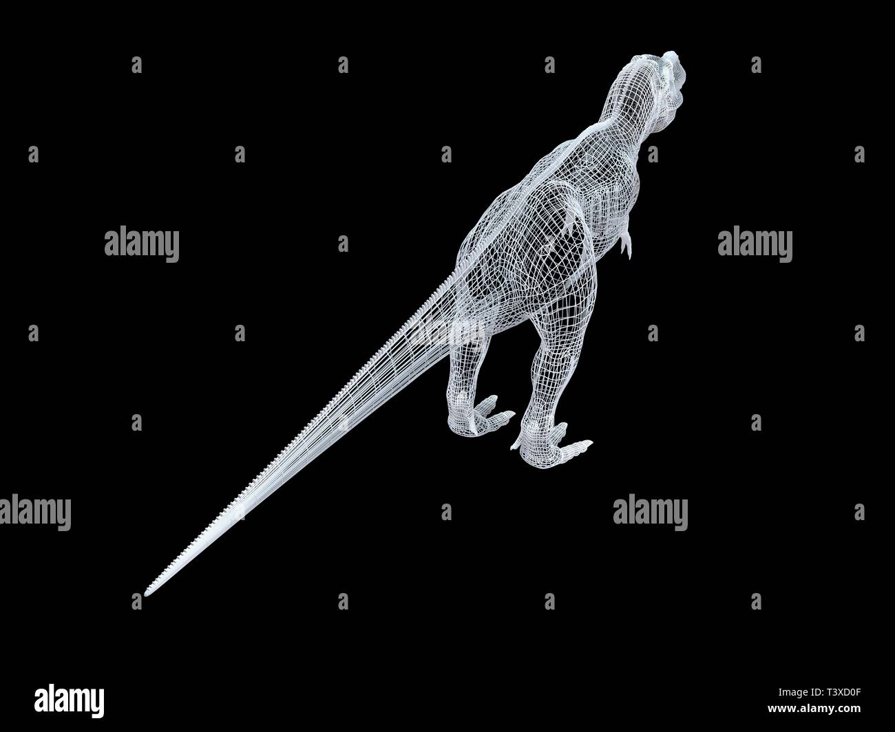 Le rendu 3D d'un isoalted dino à fil blanc sur fond noir Banque D'Images