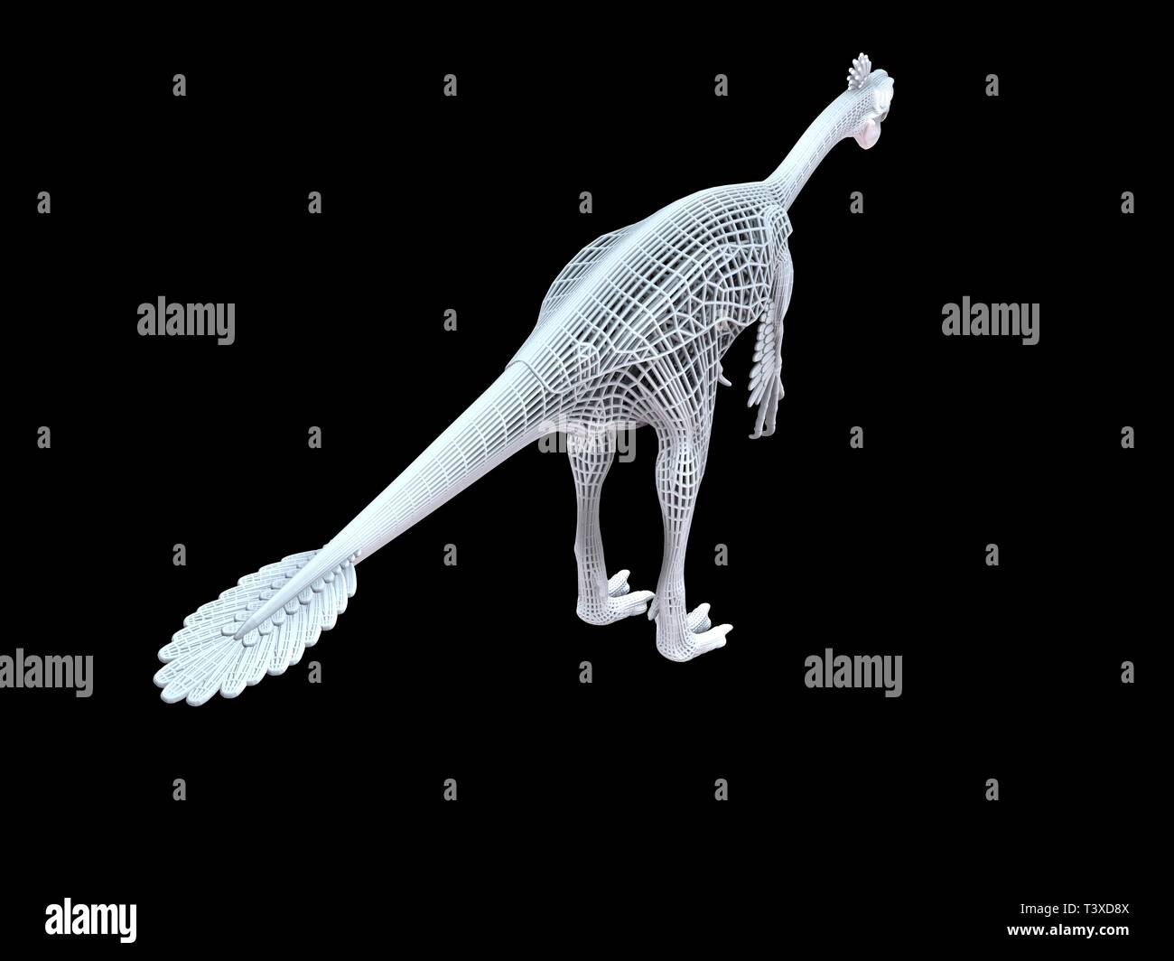 Le rendu 3D d'un isoalted dino à fil blanc sur fond noir Banque D'Images