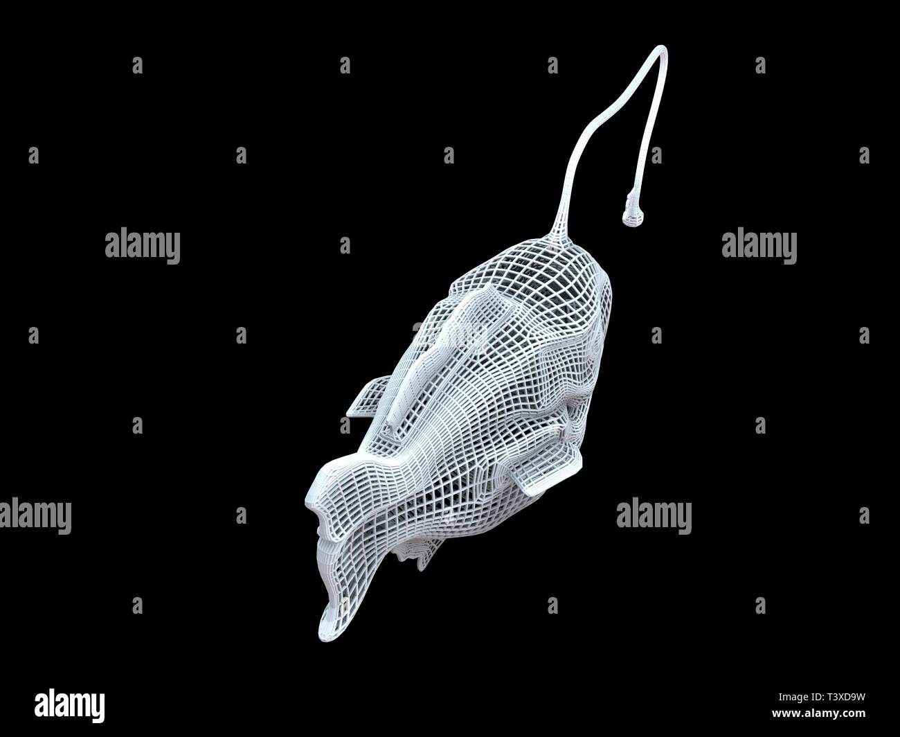 Le rendu 3D d'un isoalted dino à fil blanc sur fond noir Banque D'Images