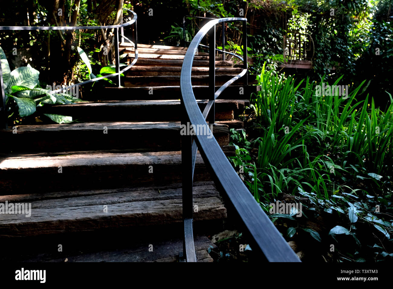 Escalier en bois dans les bois de fond naturel. Banque D'Images