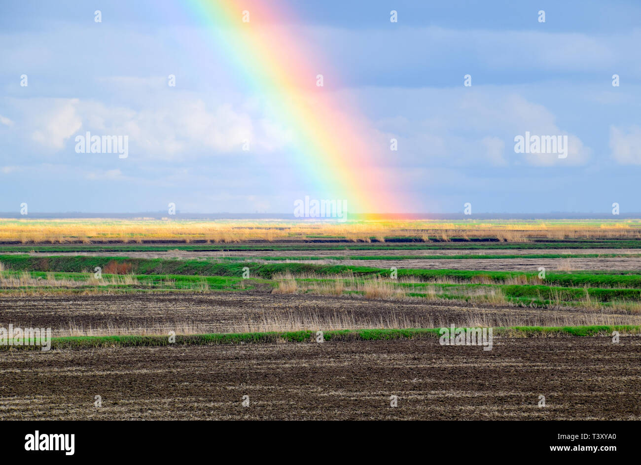Arc-en-ciel, une vue sur le paysage dans le domaine. Formation de l'arc en ciel après la pluie. La réfraction de la lumière et de l'expansion en termes de spectres. Banque D'Images