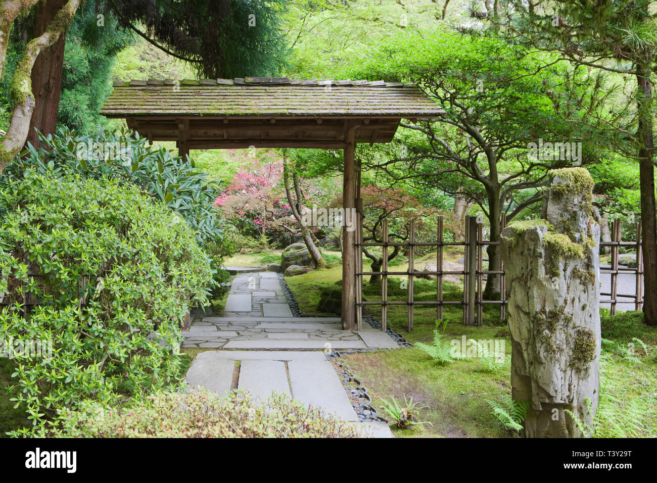 Gazebo dans le jardin japonais, Portland, Oregon, United States Banque D'Images