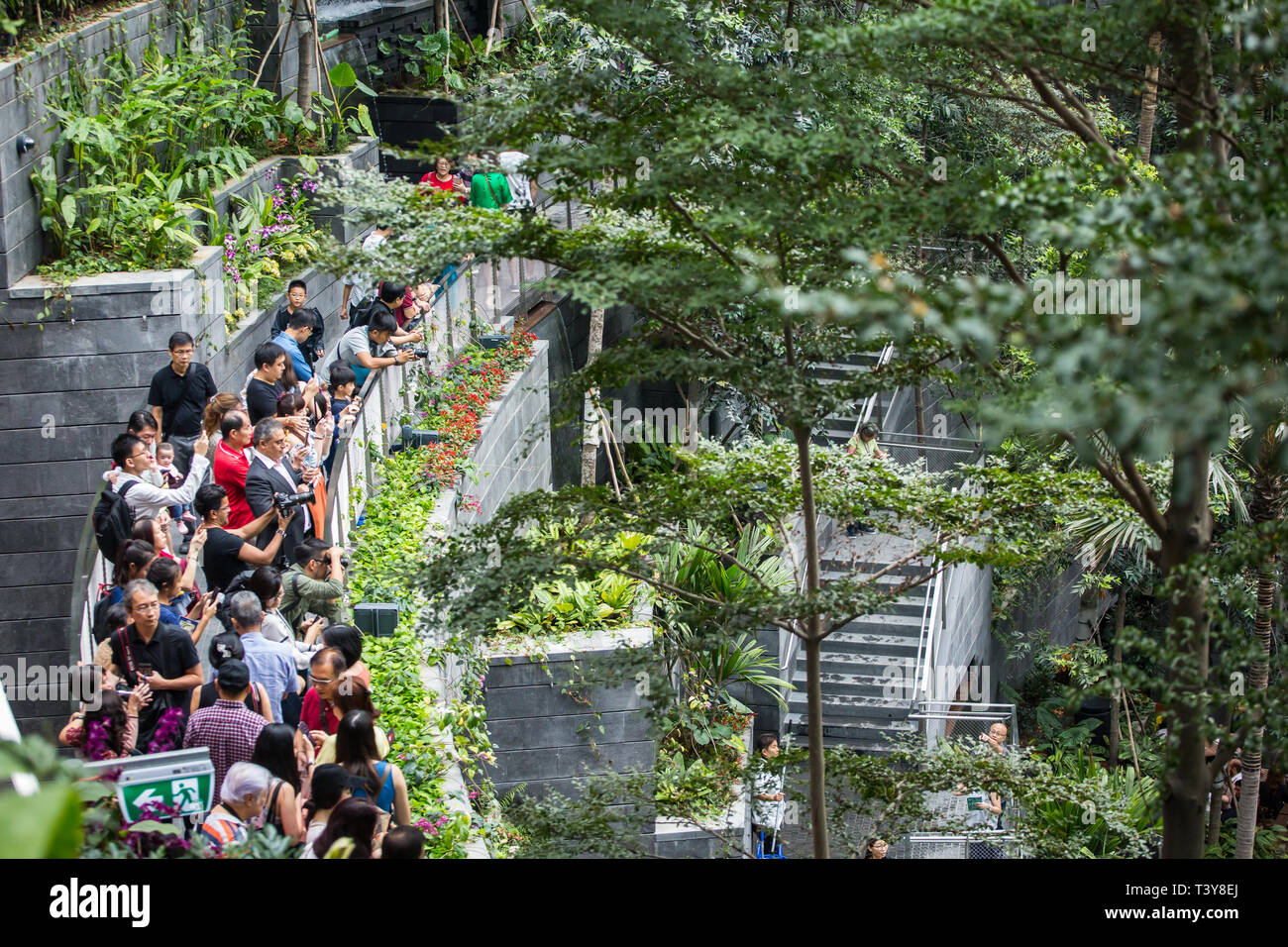 Les sentiers de la vallée de la forêt de Shiseido rempli de touristes de la prise de vue à l'aéroport Changi de Singapour, Jewel Banque D'Images