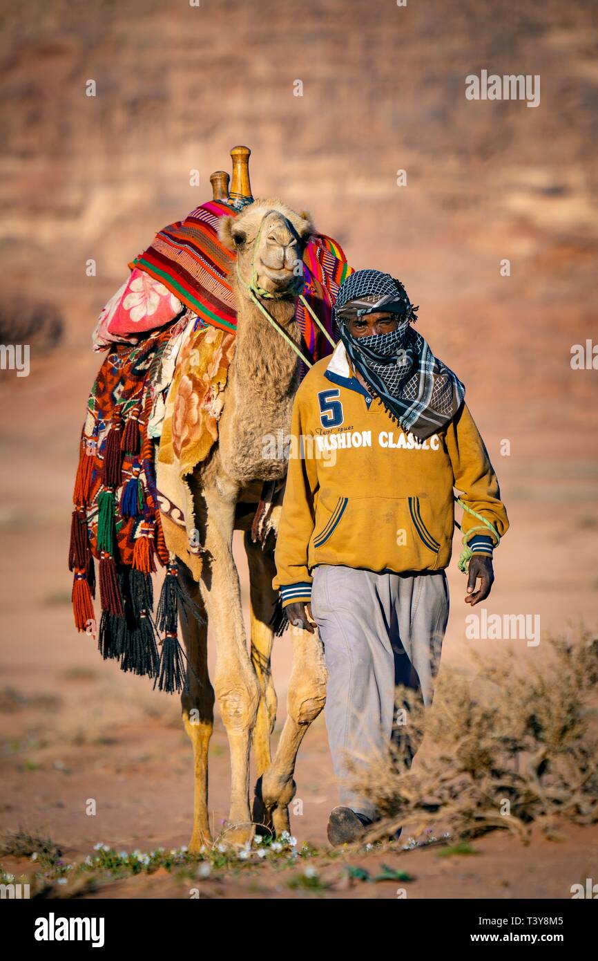Avec son chameau bédouin dans le Wadi Rum (connue aussi comme la vallée de la Lune) dans le sud de la Jordanie à l'est d'Aqaba. Banque D'Images