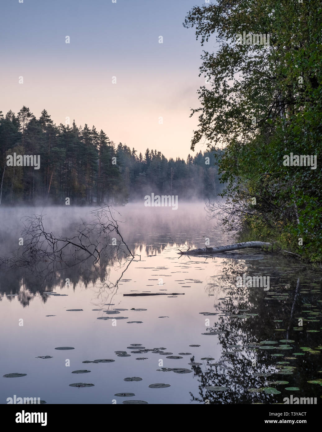Beau paysage avec le lac de brouillard et le lever du soleil au matin d'automne en Finlande Banque D'Images