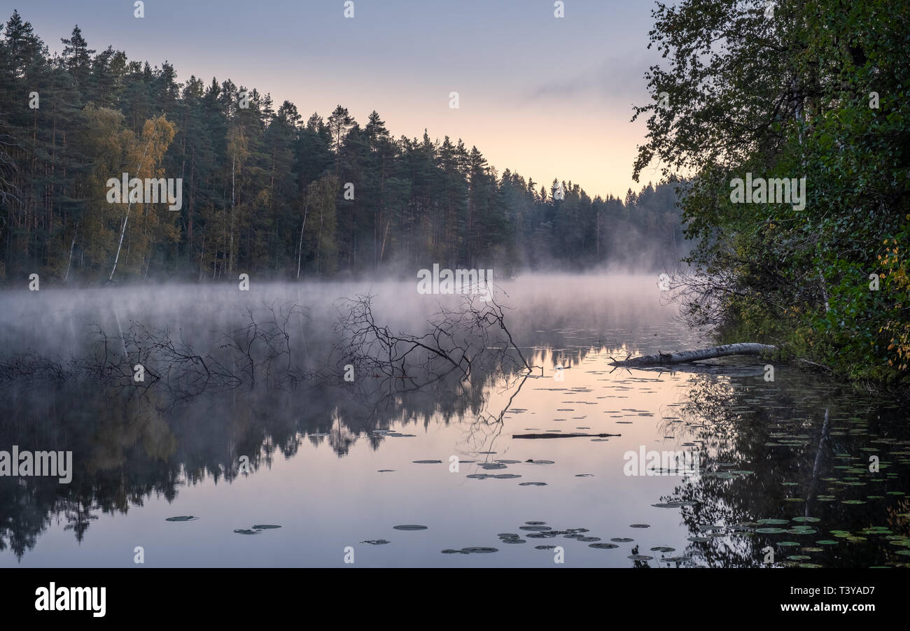 Beau paysage avec le lac de brouillard et le lever du soleil au matin d'automne en Finlande Banque D'Images