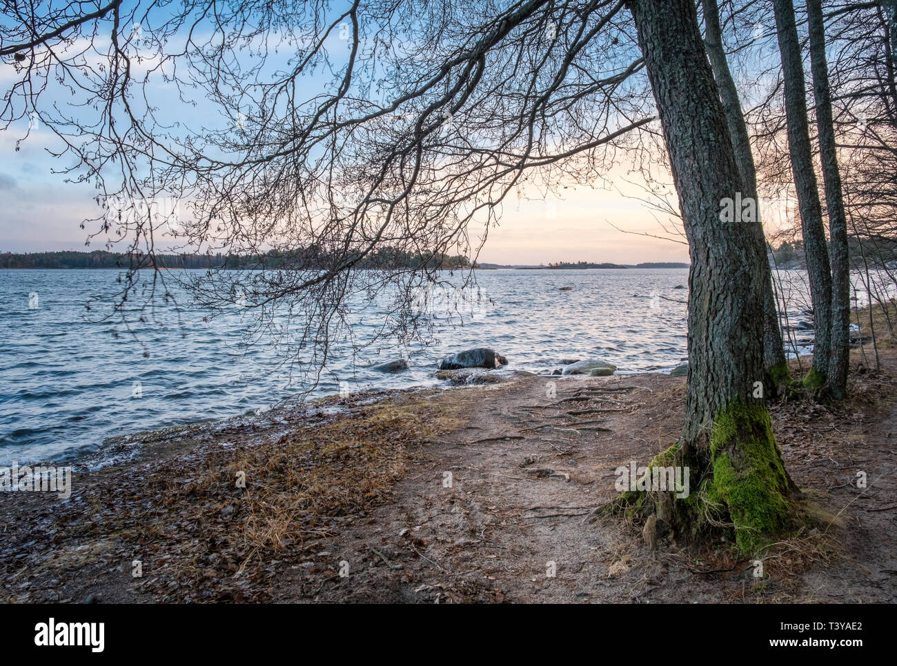 Paysage de la mer de l'humeur avec le lever du soleil et à la lumière du matin jour d'hiver en Finlande Banque D'Images