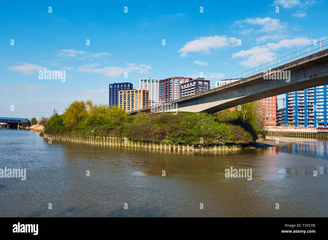 Bow Creek Ecology Park, peuplier, East London UK, avec le Docklands Light Railway flyover et nouveaux appartements Banque D'Images