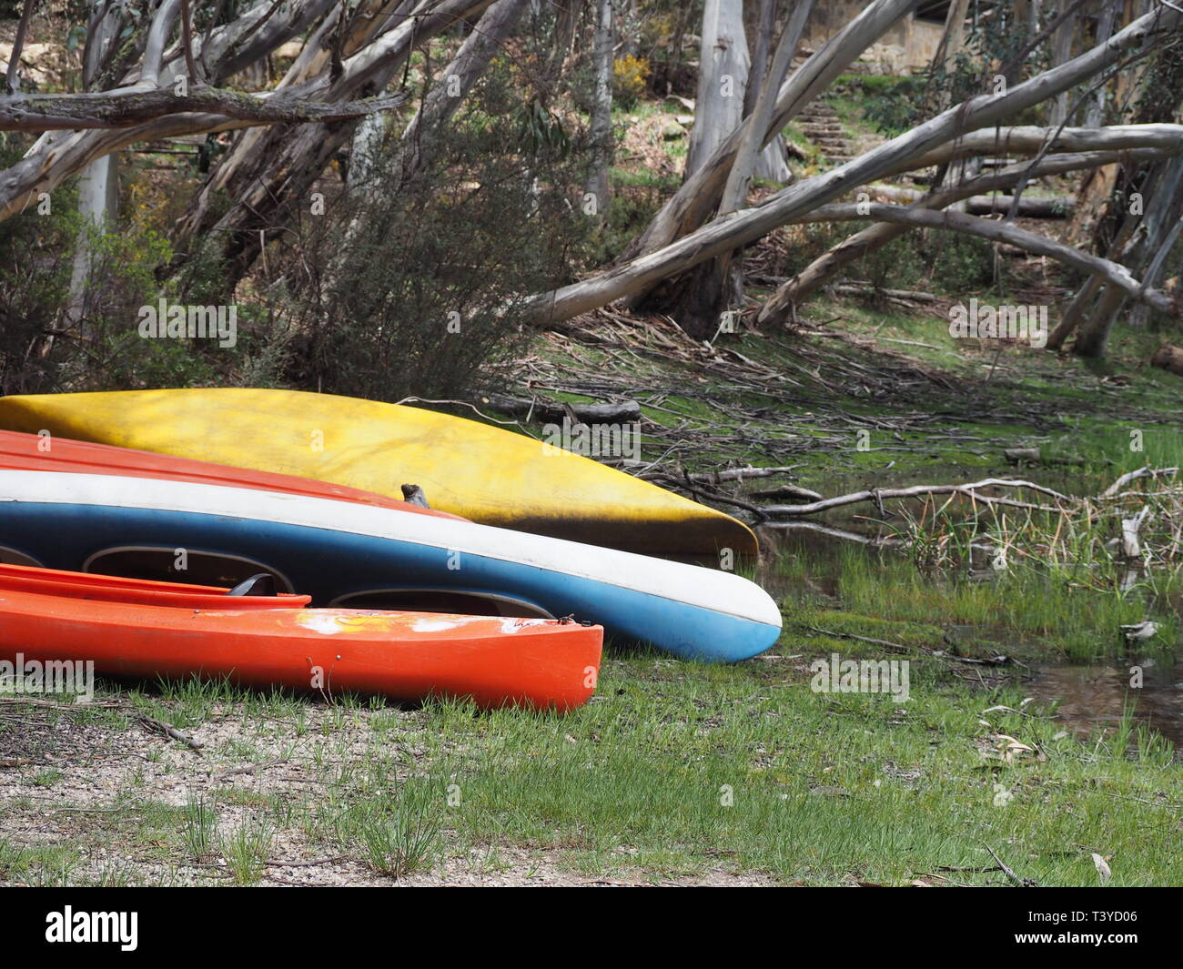 Kayaks au bord du lac par un dans les Alpes victoriennes Banque D'Images