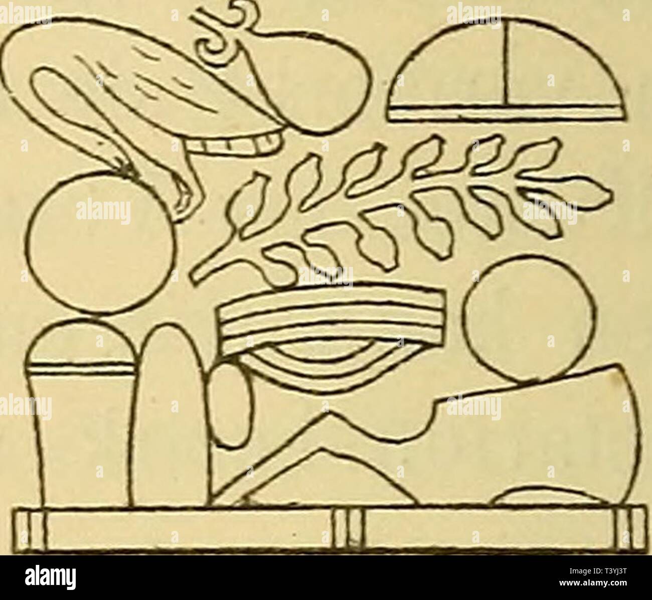 Image D Archive A Partir De La Page 317 De Die Pflanzen Im Alten