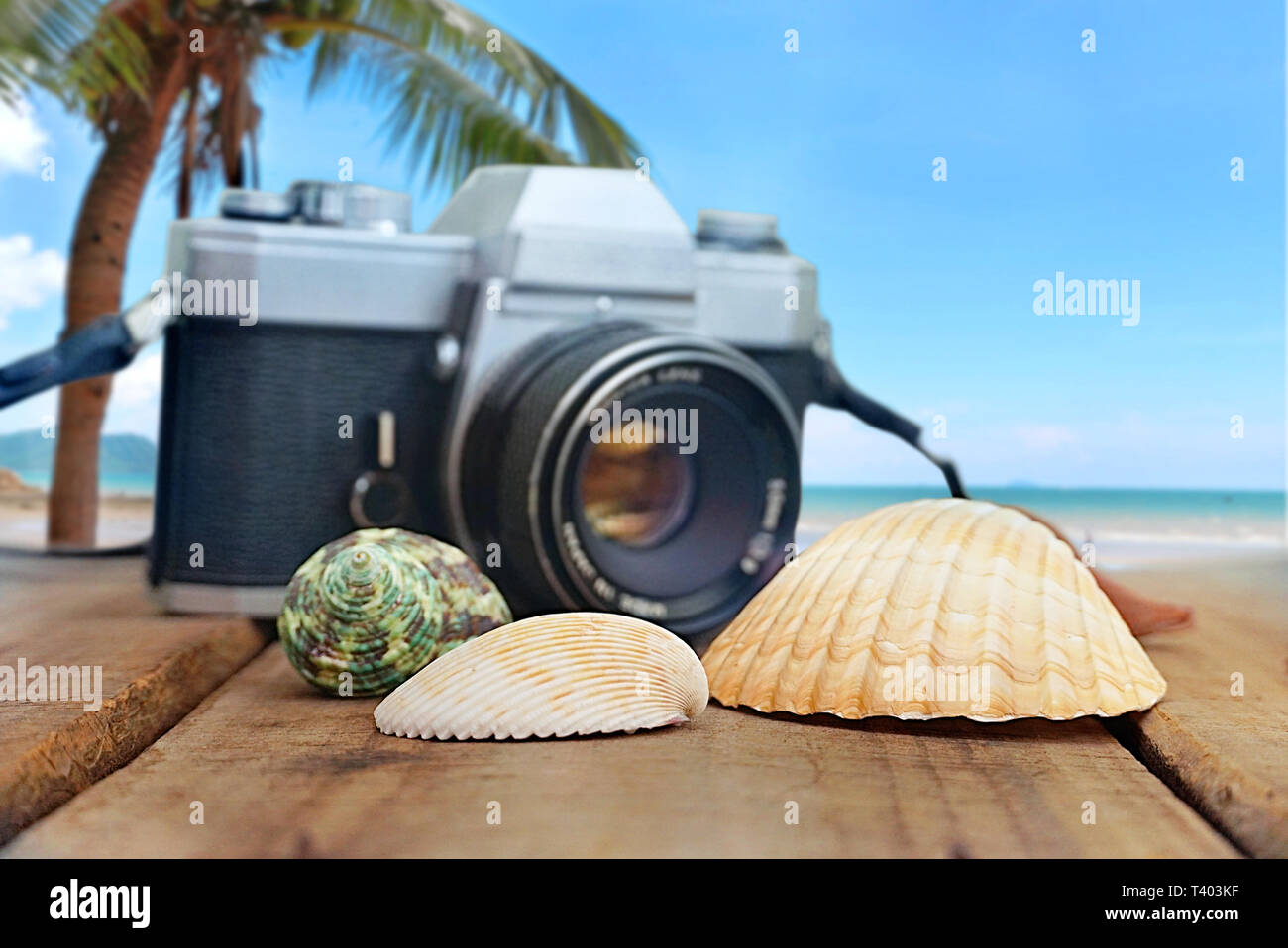 Seashell et appareil photo poser sur table en bois avec fond de plage mer Banque D'Images