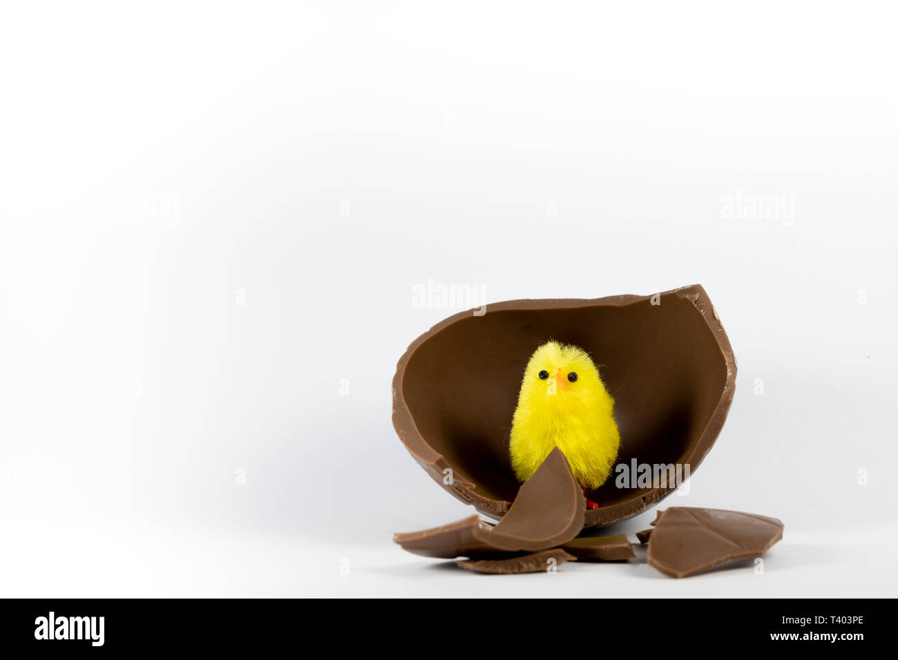 Jouet jaune avec du poulet de pâques en chocolat sur un fond blanc. Banque D'Images