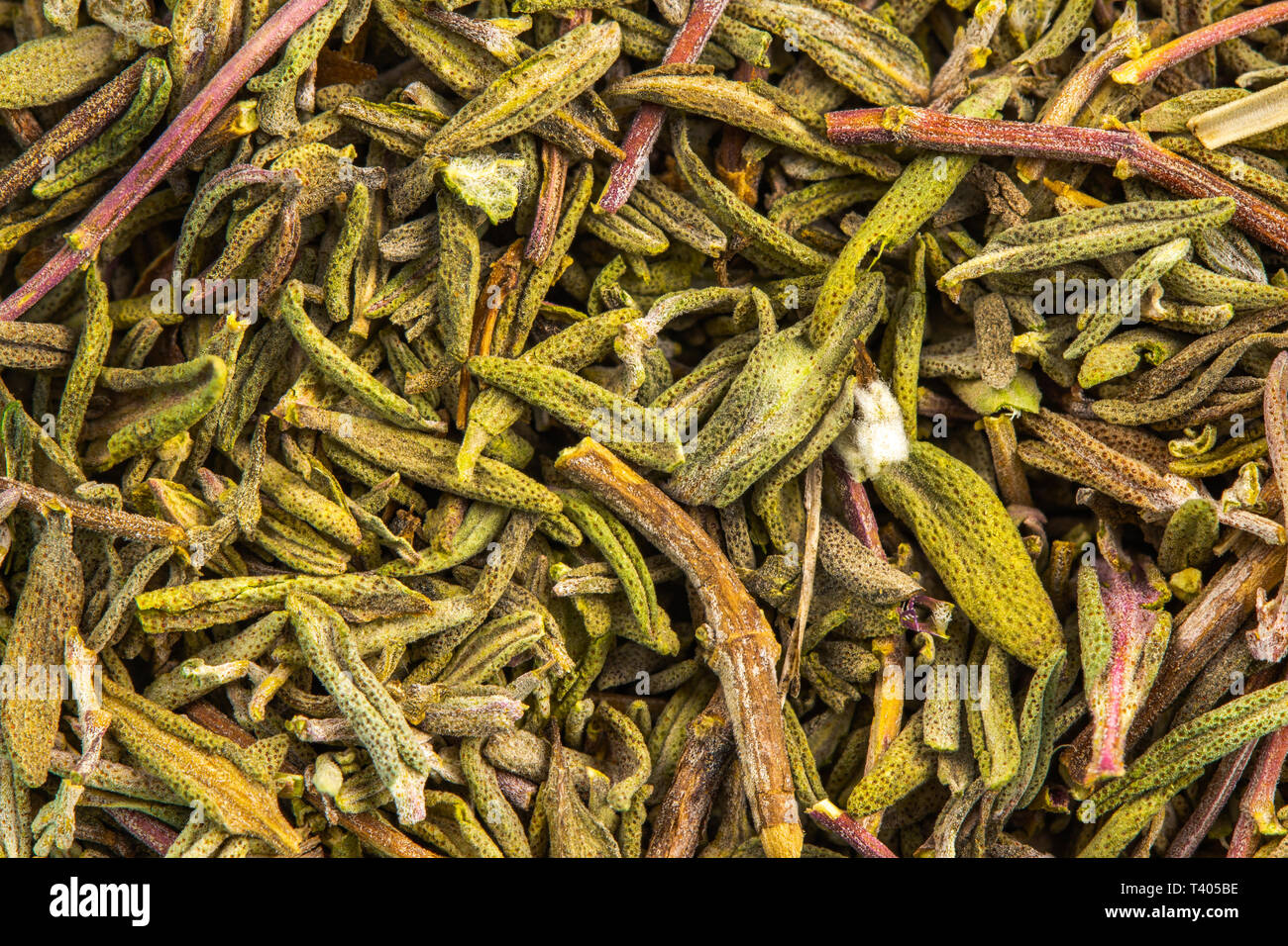 Le thym herbes séchées détails Banque D'Images