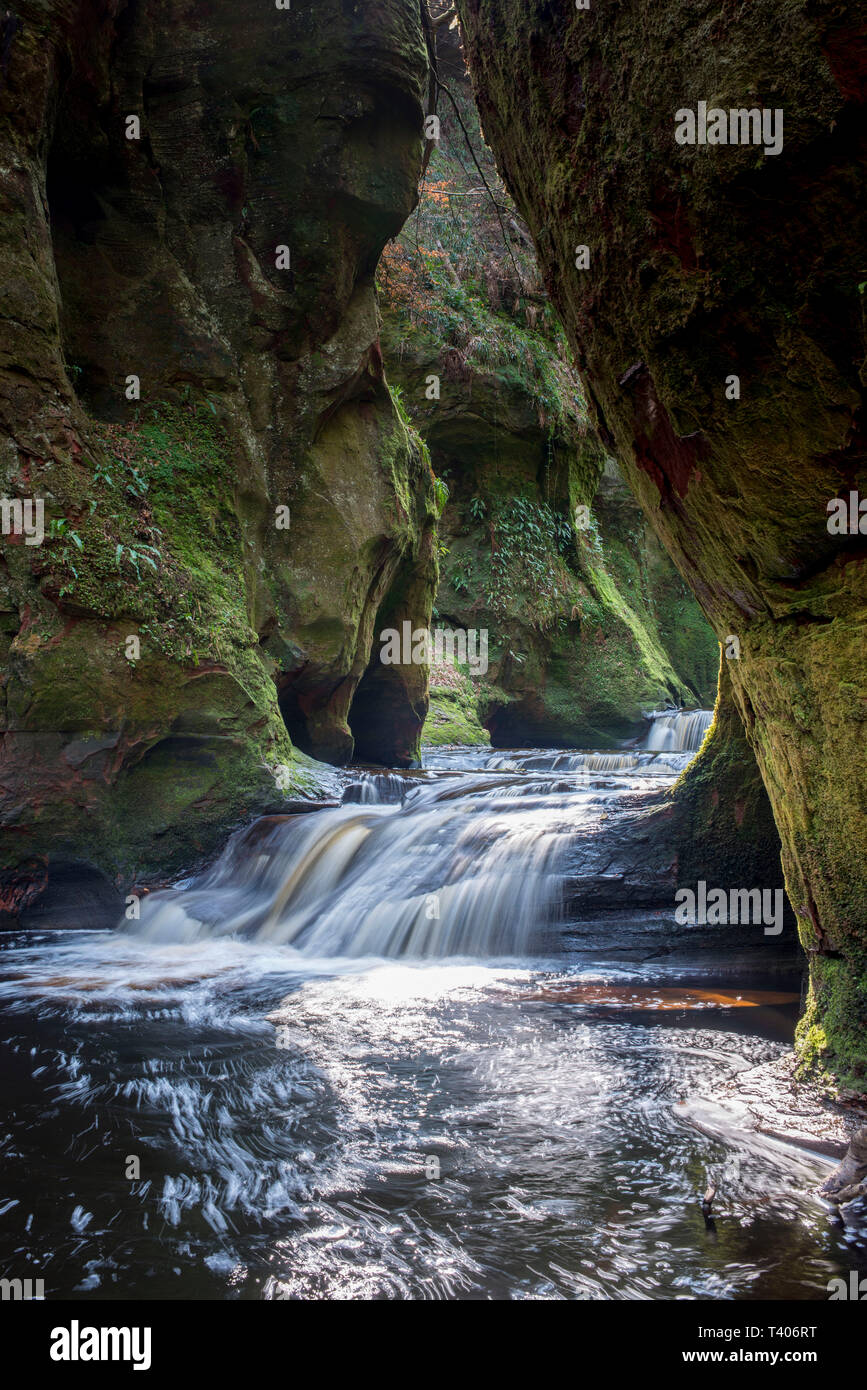 Carnock brûler et la chaire du diable en Finnich Glen Stirlingshire en Écosse. Banque D'Images