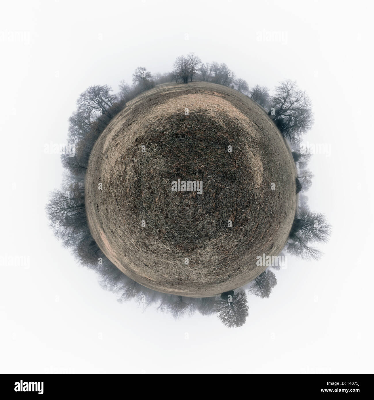 Panorama sphérique d'un champ sombre, terne avec de l'herbe sèche, entouré d'arbres sans feuilles dans un épais brouillard ; le concept d'une planète lointaine, triste Banque D'Images