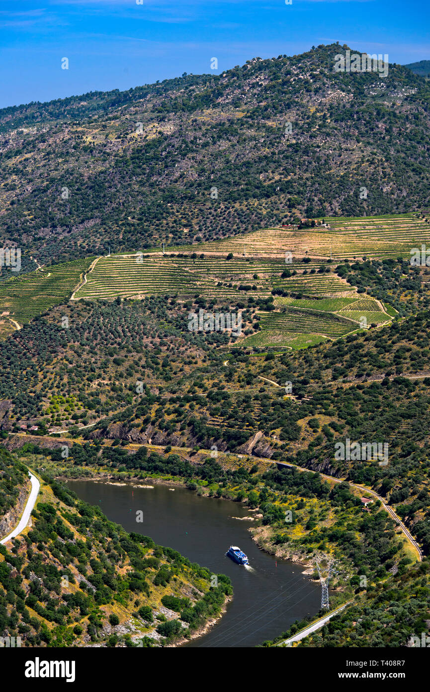 Exkursion bateau sur le fleuve Douro, près de Sao Joao da Pesqueira, District de Viseu, Portugal Banque D'Images