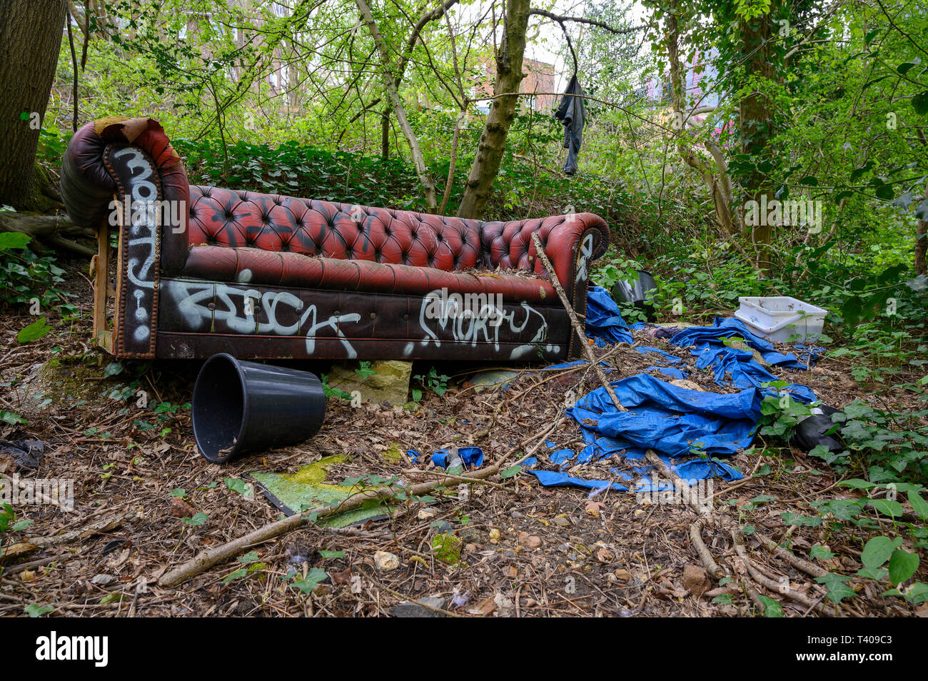 Un canapé Chesterfield à bout mouche dans Queens Wood - Highgate - Londres Banque D'Images