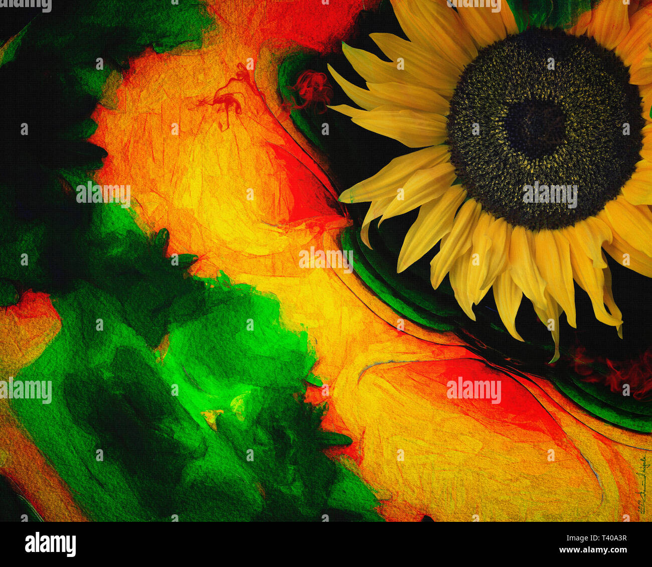 L'ART NUMÉRIQUE : Floral Dance 005 Banque D'Images