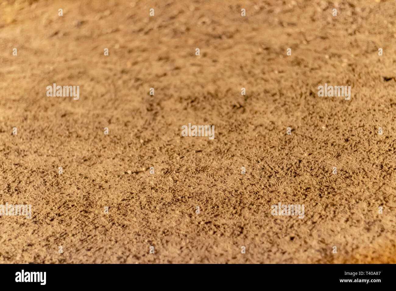 Gros plan d'un shoot à la texture du sable granuleux. photo a pris à Istanbul/Turquie. Banque D'Images