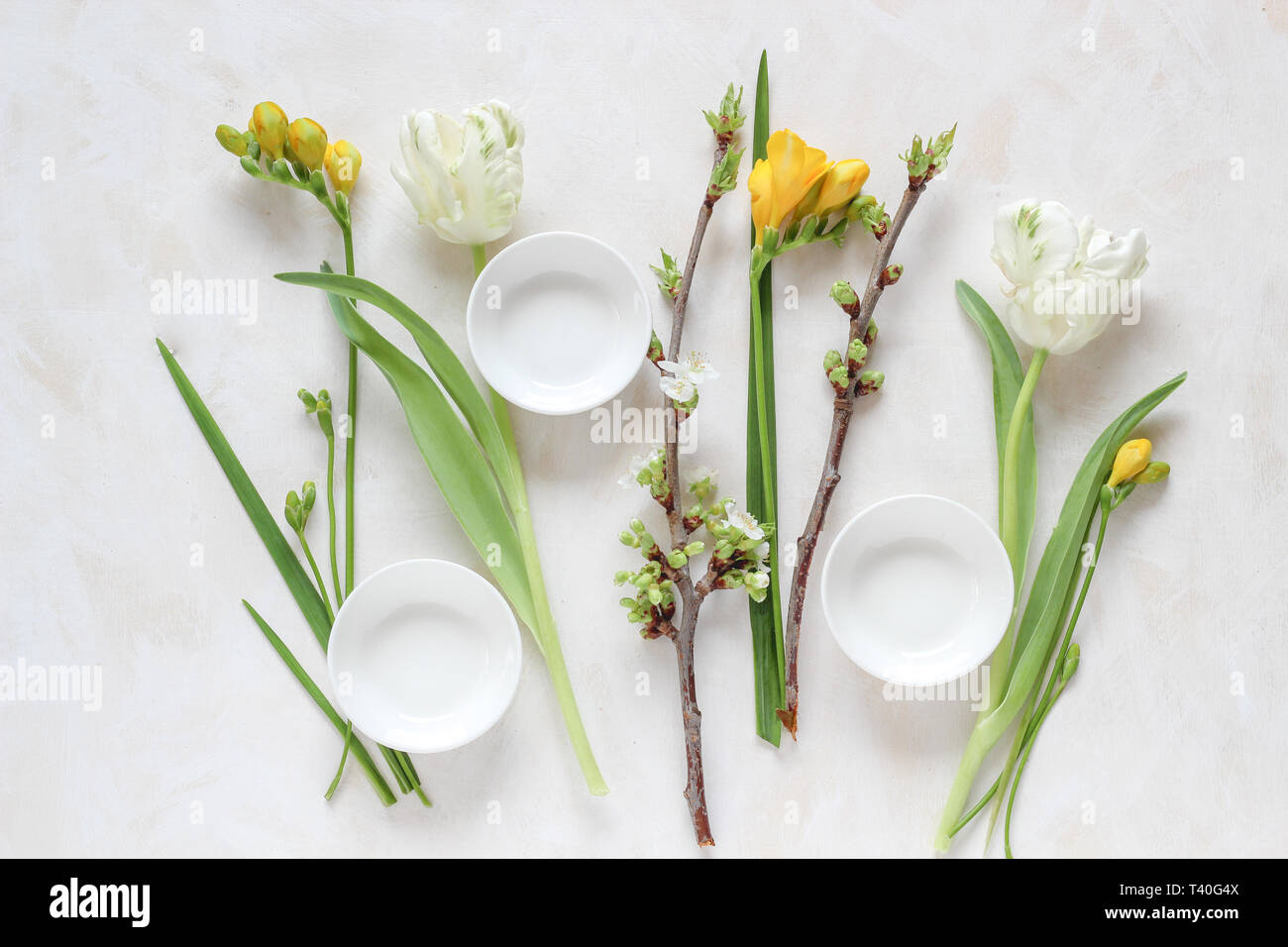 Fleurs de printemps avec des assiettes vides pour vos produits sur un arrière-plan lumineux, télévision style laïcs Banque D'Images