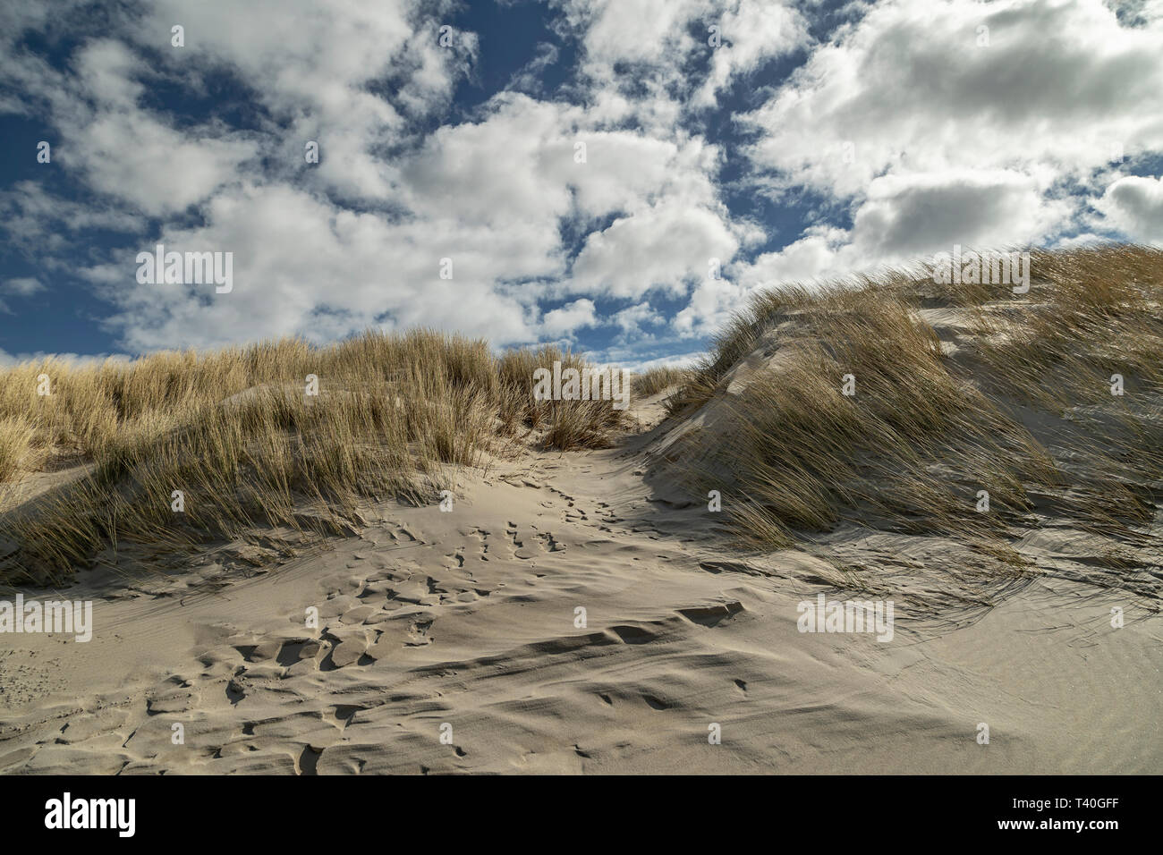 Plan de la plage de dunes de Domburg avec ciel nuageux / Pays-Bas Banque D'Images