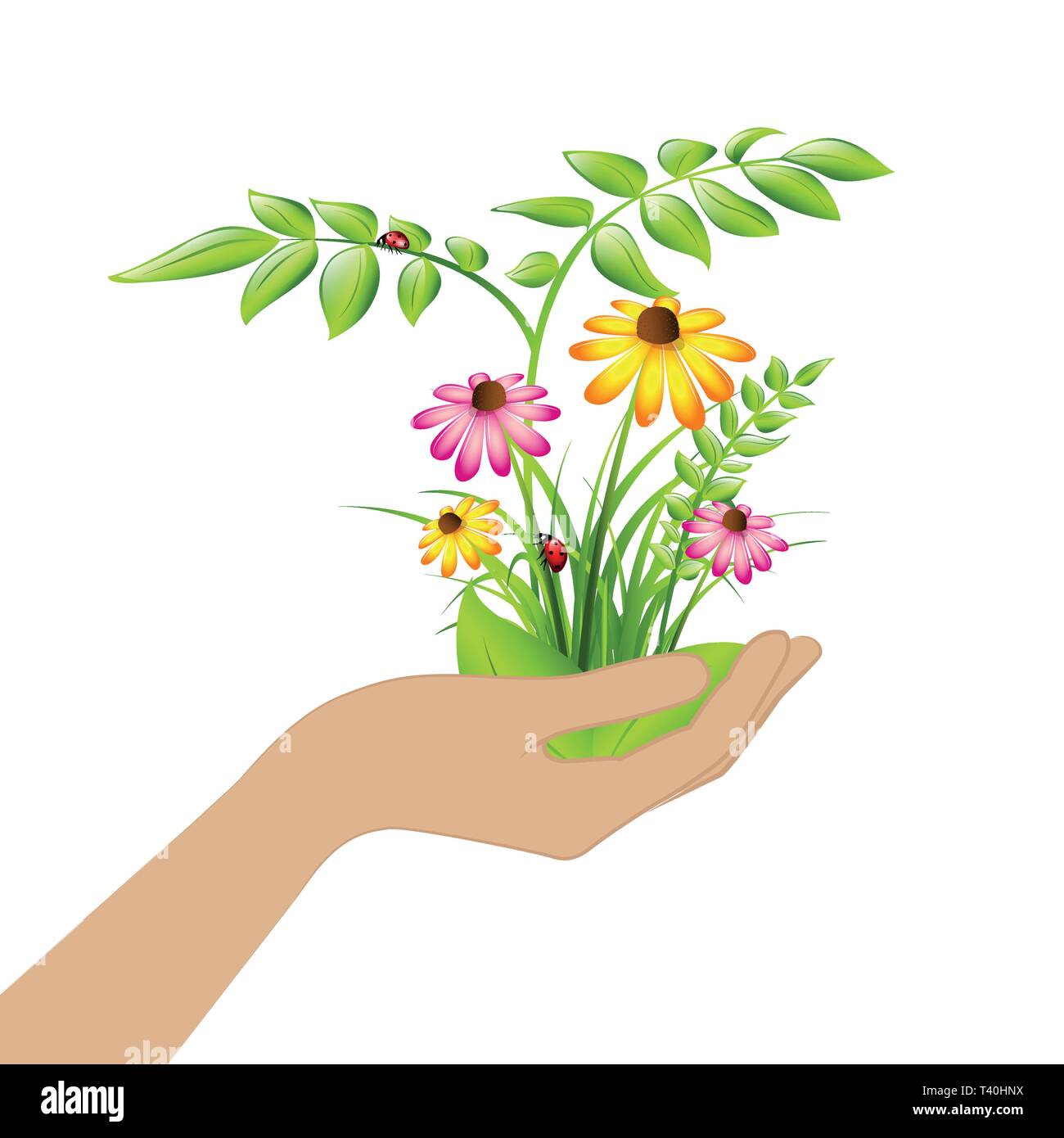 Prise femelle de plantes et de fleurs isolé sur fond blanc vector illustration EPS10 Illustration de Vecteur