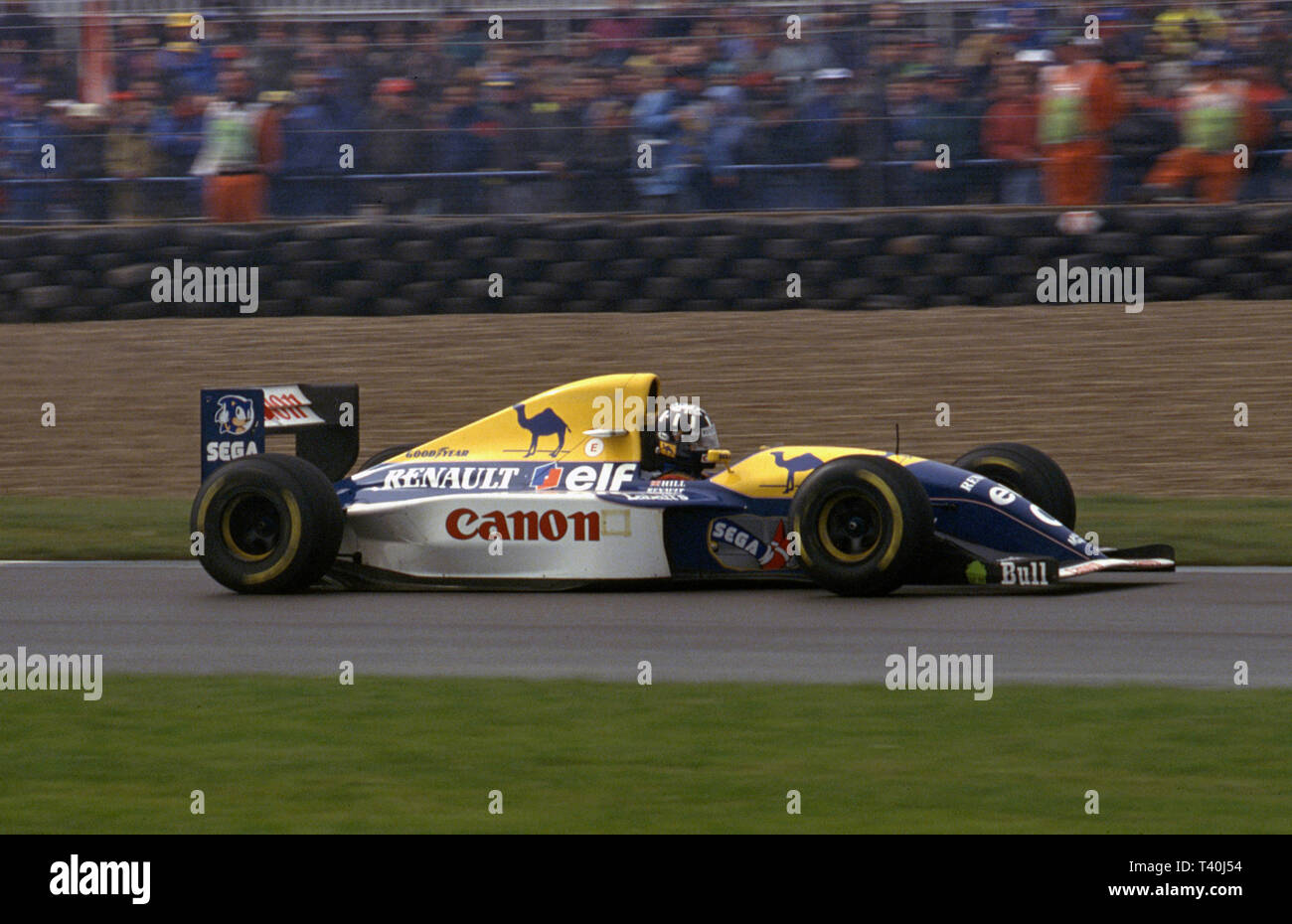 1993 Grand Prix d'Europe, Donington. Damon Hill dans la région de Williams Renault FW15C Banque D'Images