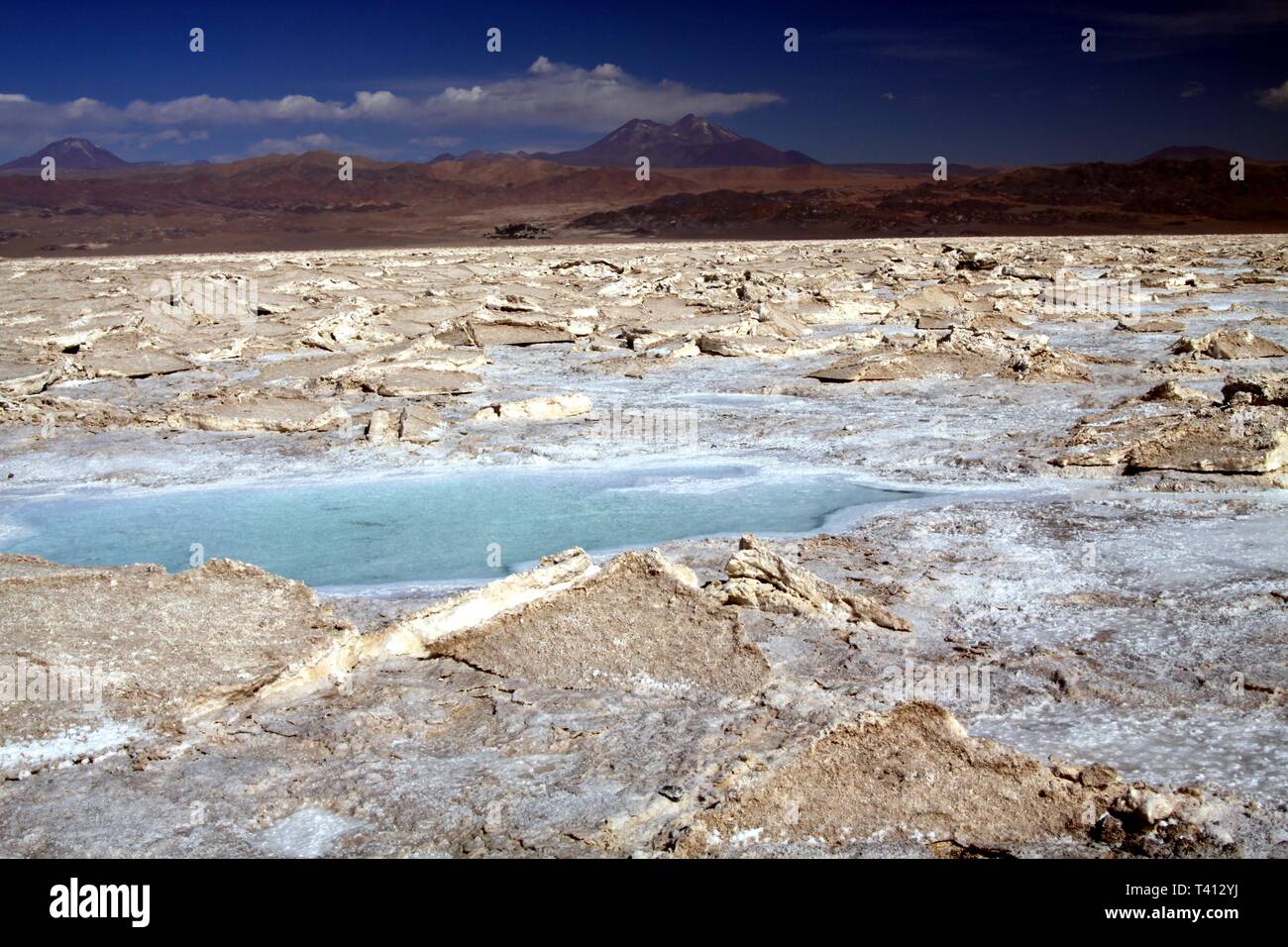 Vue sur l'eau salée scintillante bleu flaque dans des terrains secs stériles - Salar (sel) près de San Pedro de Atacama Banque D'Images