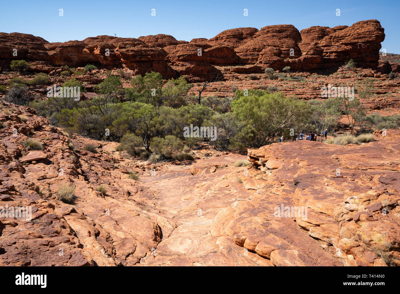 Kings Canyon paysage avec un chemin de randonnée au cours de la rive dans NT outback Australie Banque D'Images
