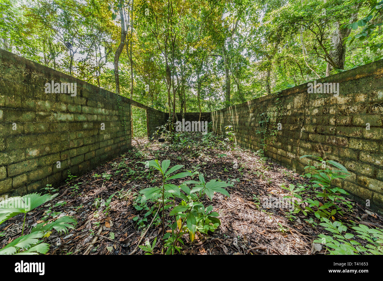 Dans la région métropolitaine de ruine dans le Parc National de Panama-City. Endroits perdus. Banque D'Images