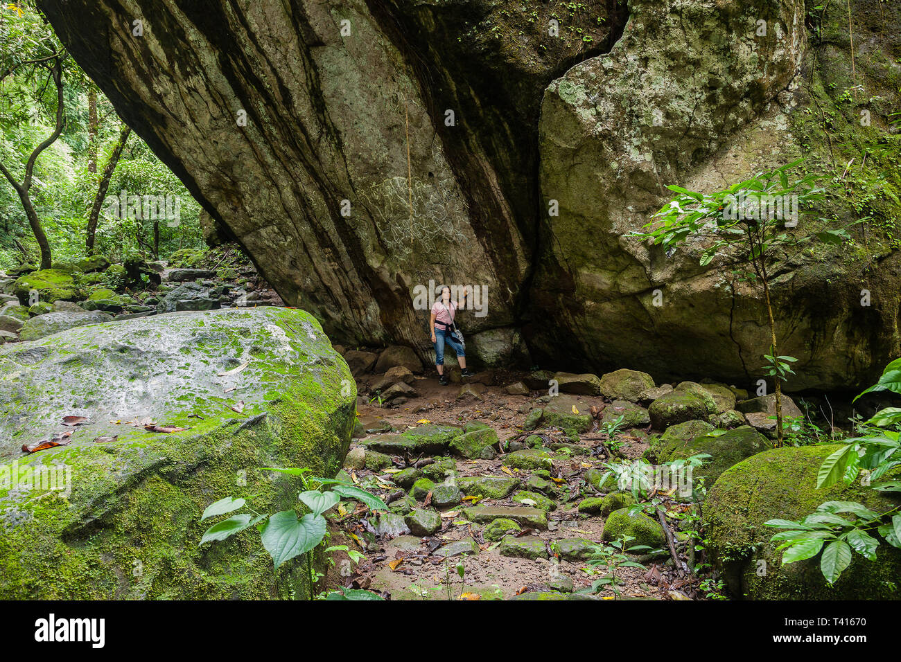 Rock carving / "La Piedra Pintada pétroglyphe' dans El Valle de Anton-Panama Banque D'Images