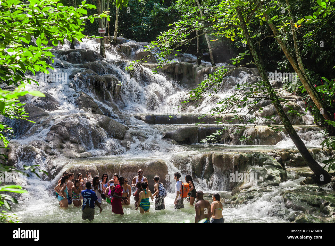 Ocho Rios, Jamaïque - 15 novembre 2016 : Les Dunn's River Falls sont les chutes d'eau à Ocho Rios en Jamaïque, qui peuvent être montés par les touristes. Banque D'Images