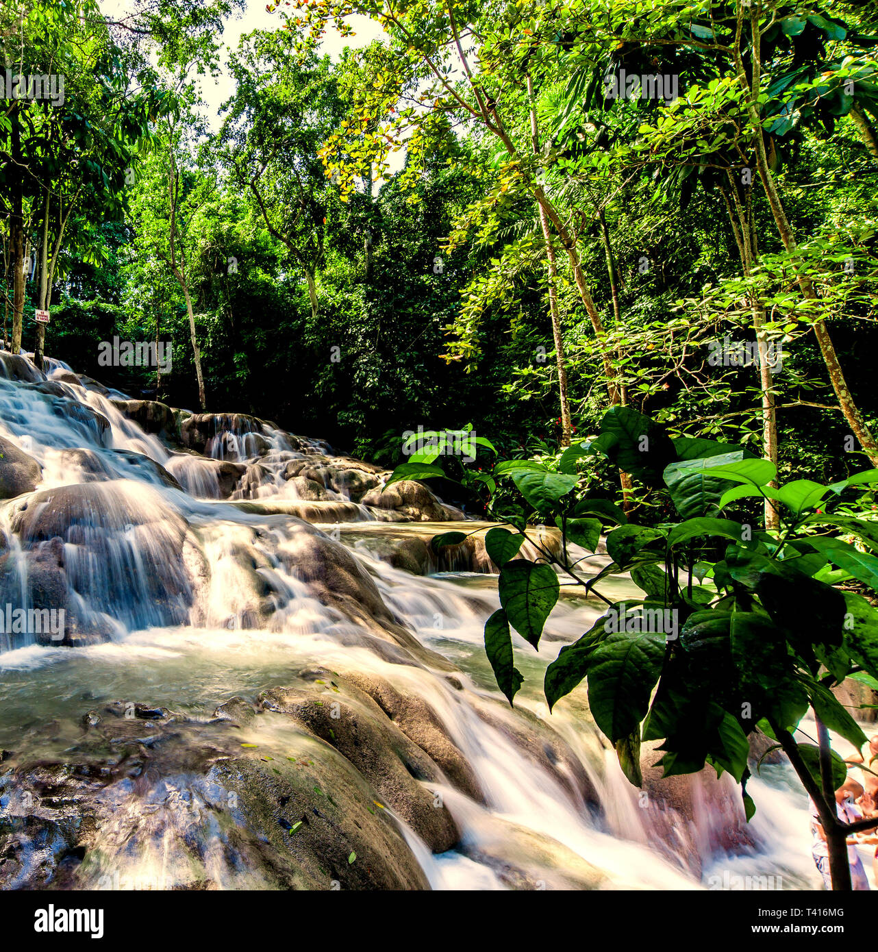 Dunn's River Falls en Jamaïque Banque D'Images