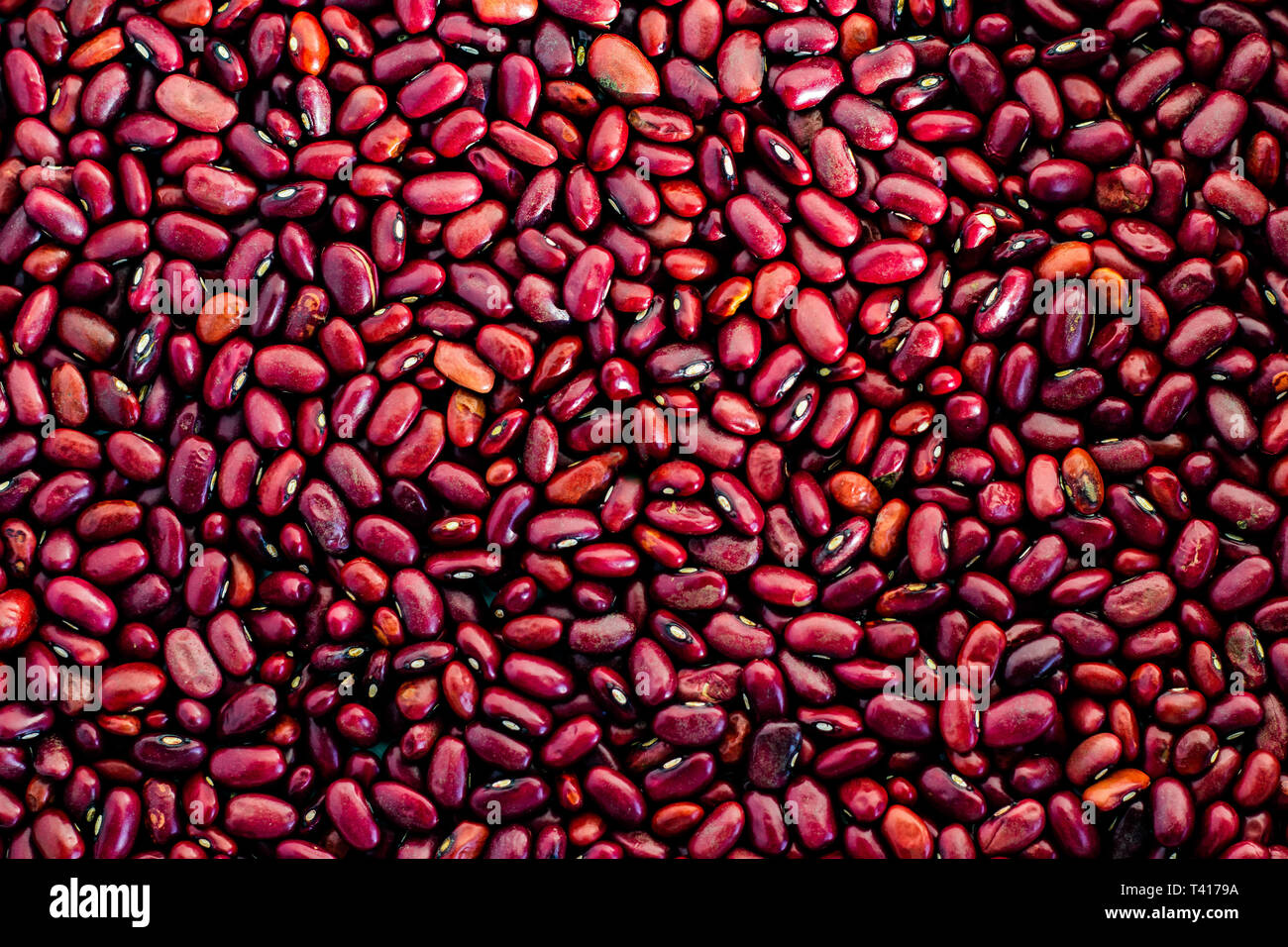Close-up de haricots rouges Banque D'Images
