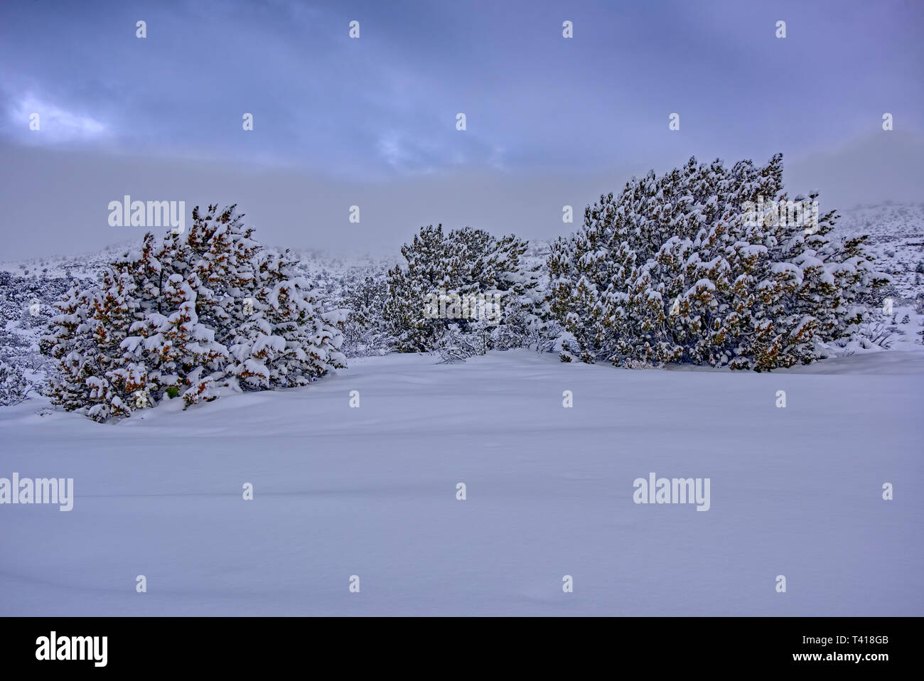 Sullivan Butte enterré dans la neige, Chino Valley, Yavapai County, Arizona, United States Banque D'Images
