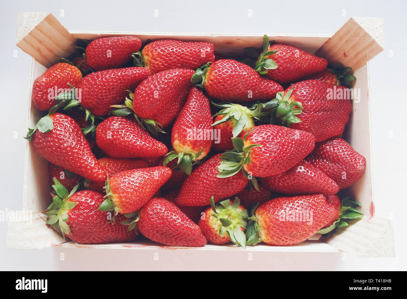 Punnett de fraises Banque D'Images