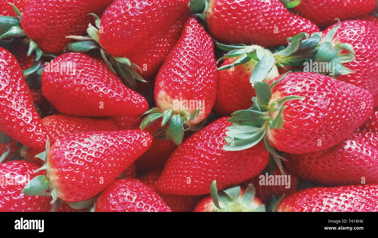 Close-up de matières premières fraises Banque D'Images
